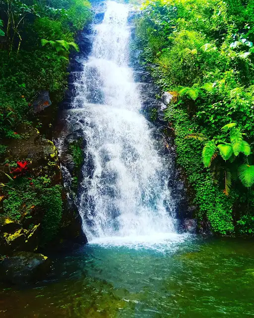 Tempat Wisata Unik di Banjarnegara: Serulingmas Zoo dan Curug Pitu